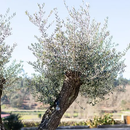 Дом отдыха Rioverde Барселуш