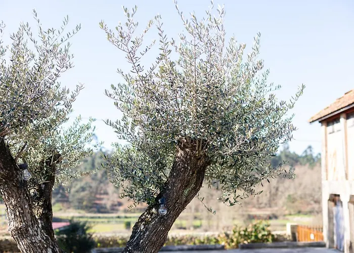 Tatil Evi Rioverde Barcelos